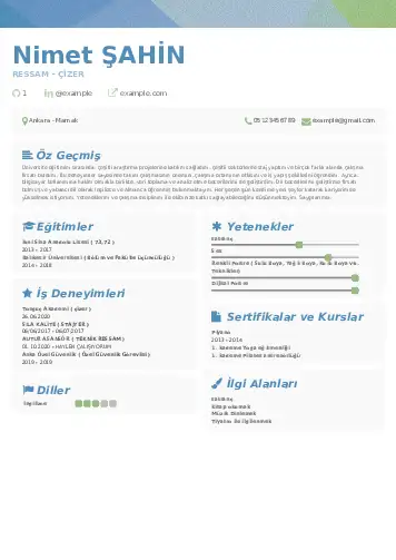 Ressam Cv Örnekleri cv indir